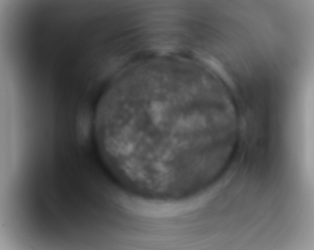 X0000092100018200709262149