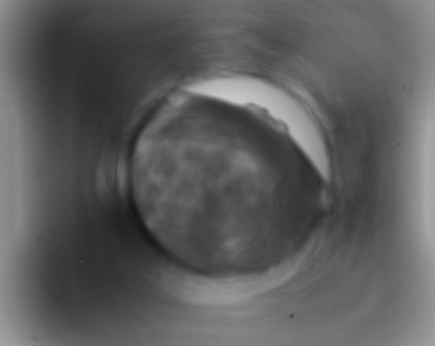 X0000092100019200709262149