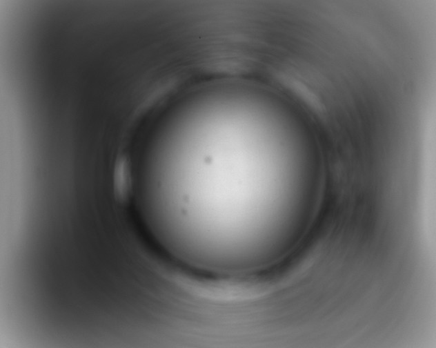 X0000092100020200709262149