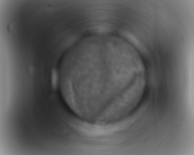 X0000092100022200709262149