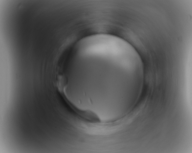 X0000092100023200709262149