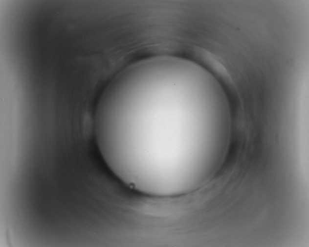 X0000092100025200709262149