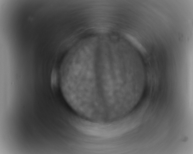 X0000092100026200709262149