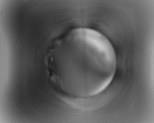 X0000092100027200709262149