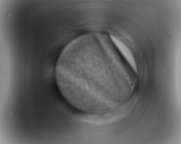 X0000092100029200709262149