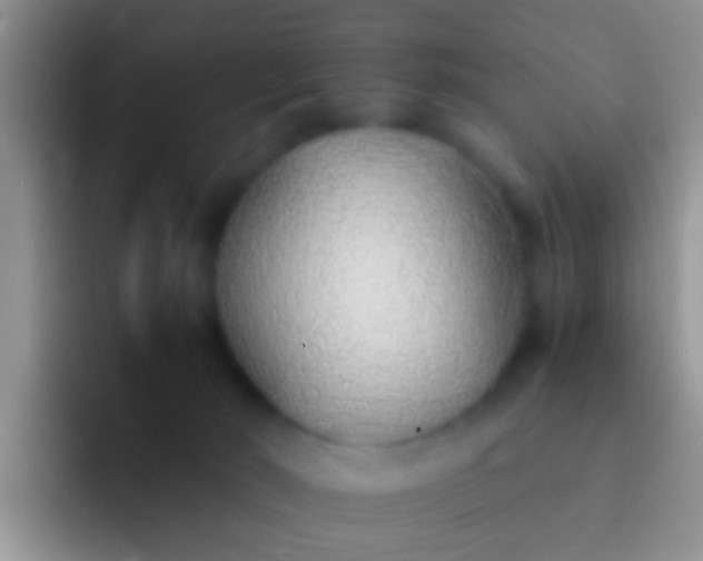 X0000092100030200709262149