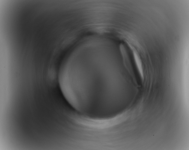 X0000092100031200709262149