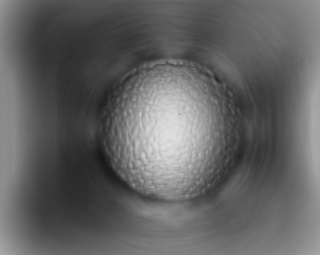 X0000092100032200709262149