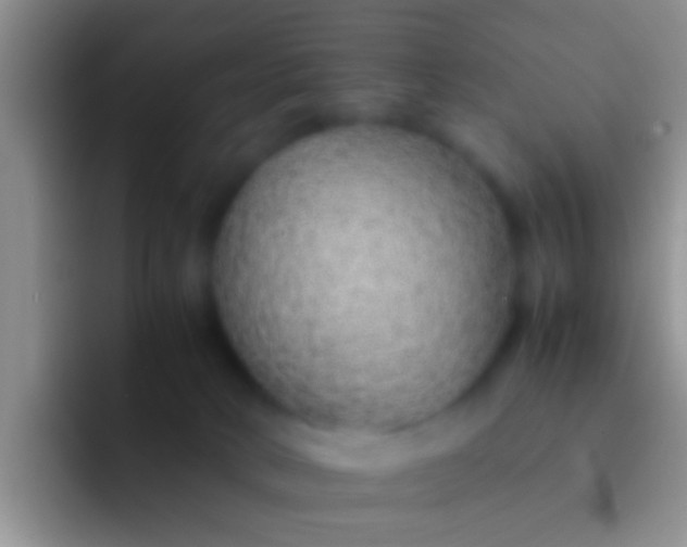 X0000092100034200709262149