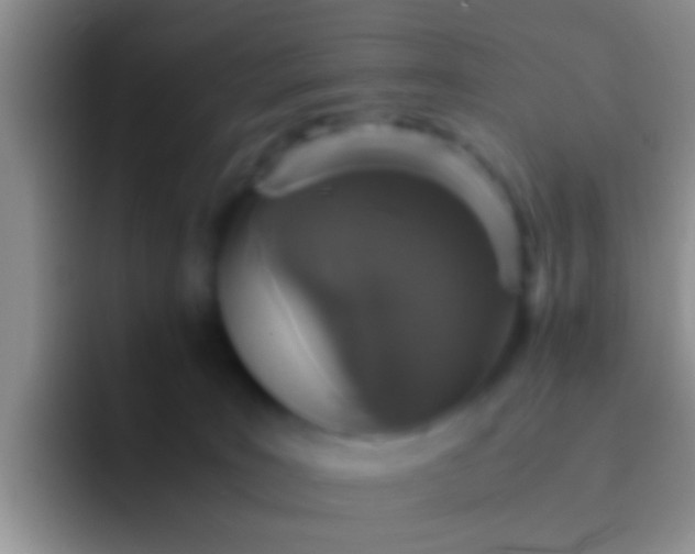 X0000092100035200709262149