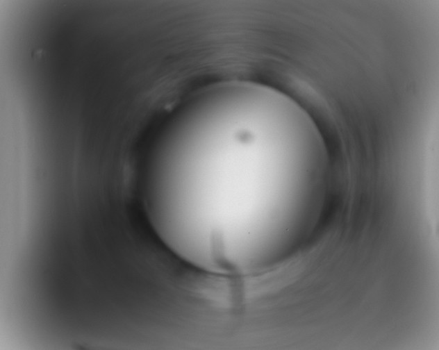 X0000092100037200709262149