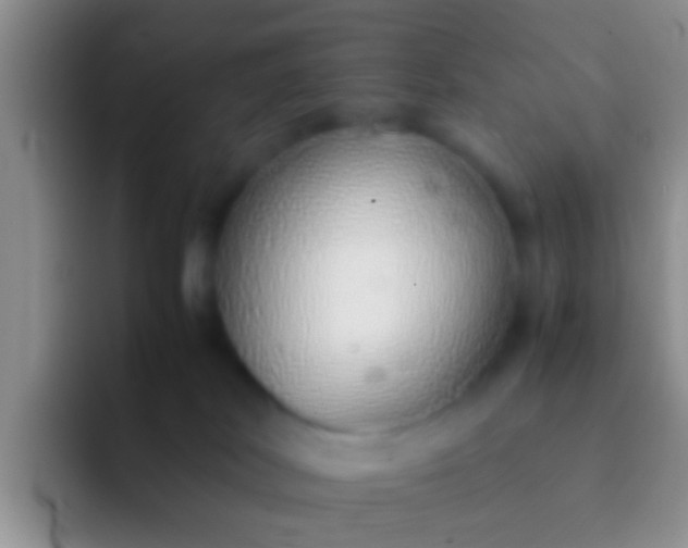 X0000092100038200709262149