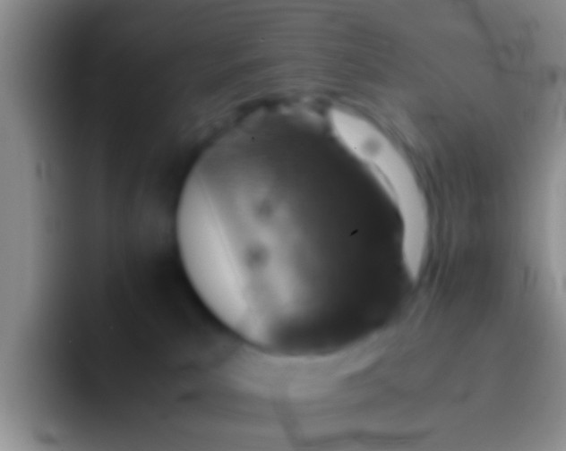 X0000092100039200709262149