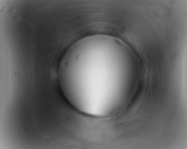 X0000092100040200709262149