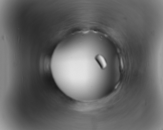 X0000092100041200709262149