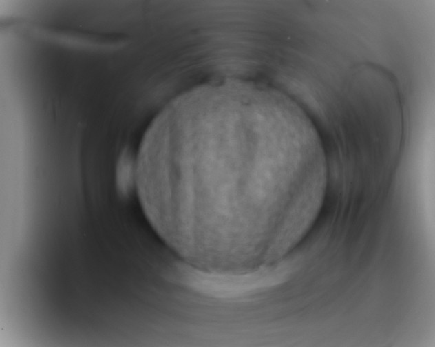 X0000092100042200709262149