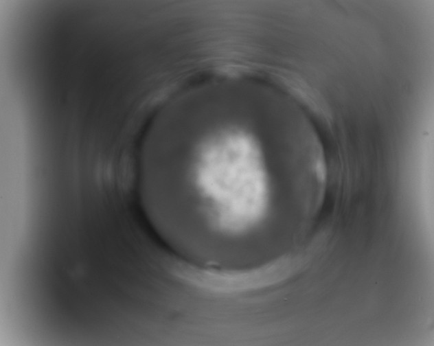 X0000092100043200709262149