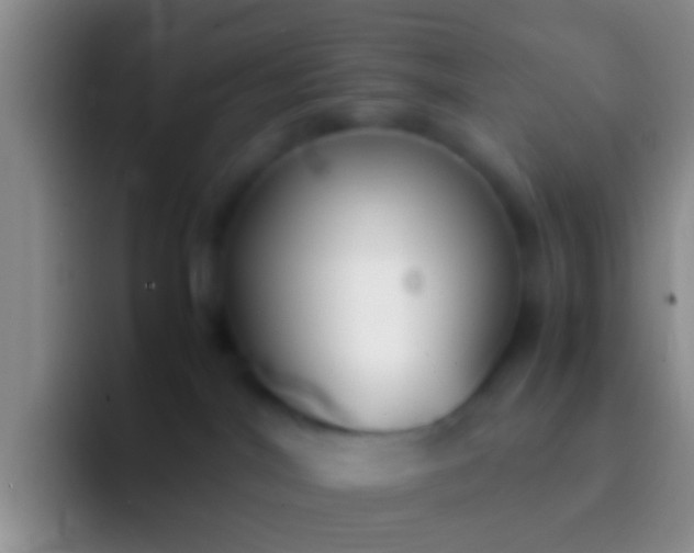 X0000092100044200709262149