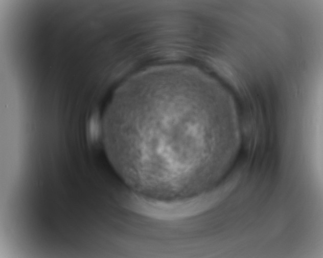 X0000092100046200709262149