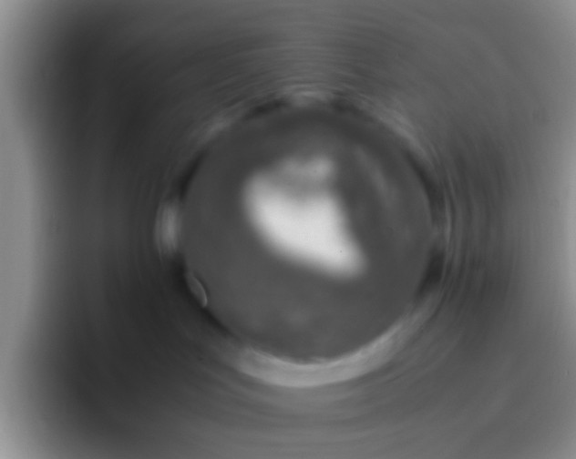 X0000092100047200709262149