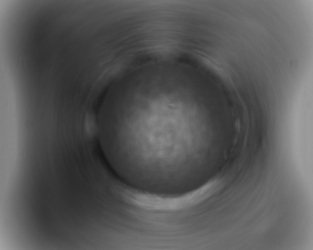 X0000092100048200709262149