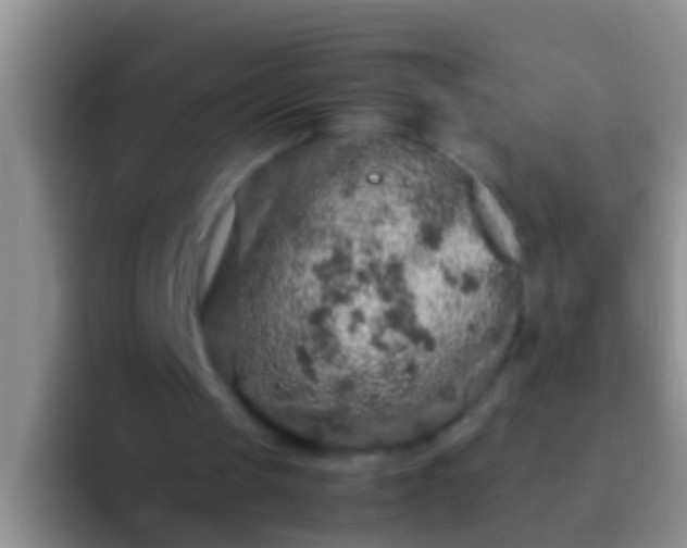 X0000092100049200709262148