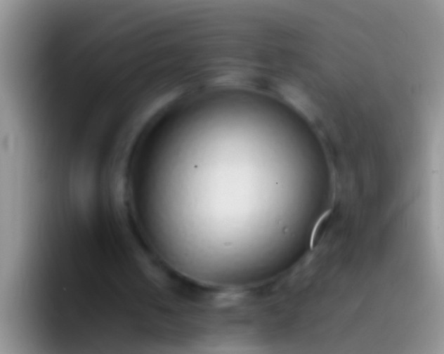 X0000092100050200709262148