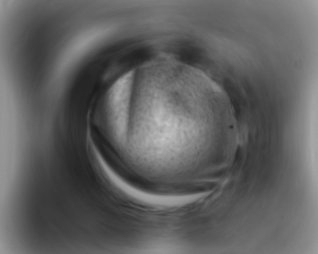 X0000092100052200709262148