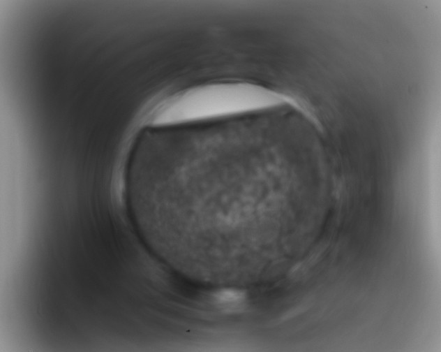 X0000092100053200709262148