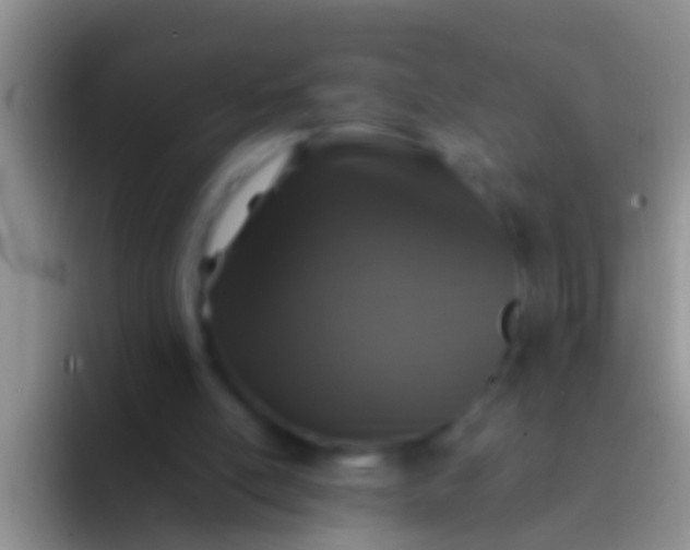 X0000092100054200709262148