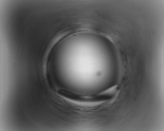 X0000092100056200709262148