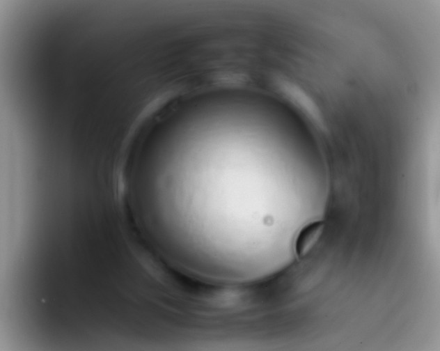 X0000092100059200709262148