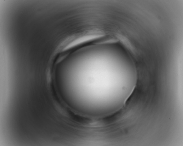 X0000092100060200709262148