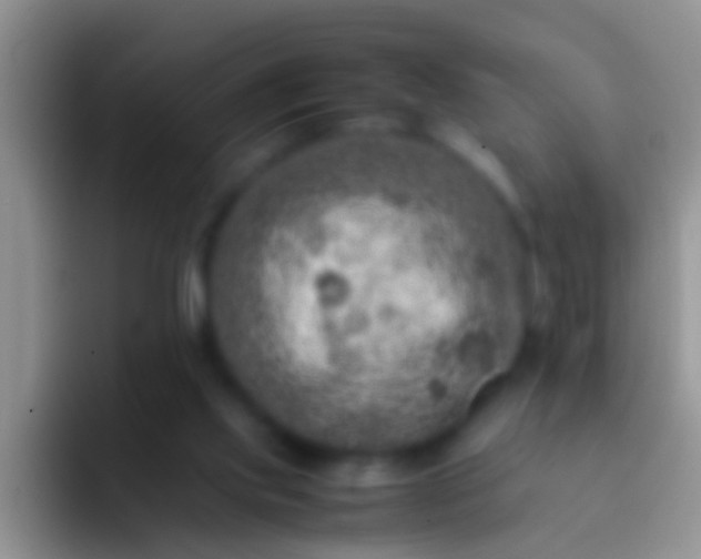 X0000092100061200709262148