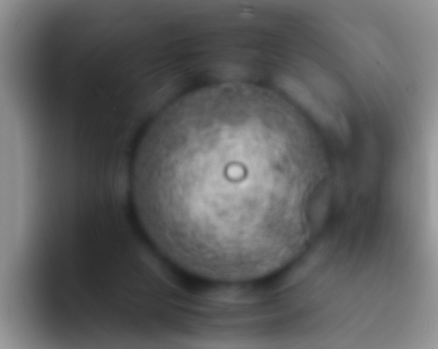 X0000092100065200709262148