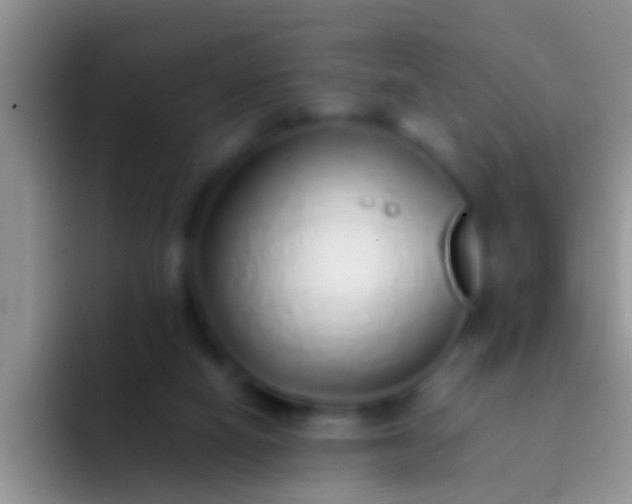 X0000092100066200709262148