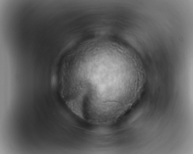 X0000092100067200709262148