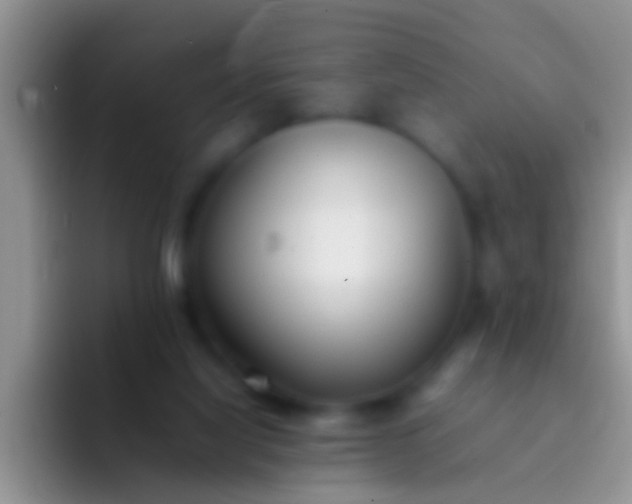 X0000092100068200709262148