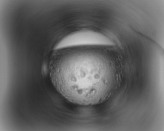 X0000092100069200709262148