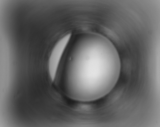 X0000092100073200709262148