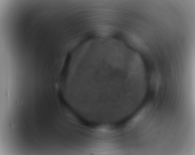 X0000092100076200709262149