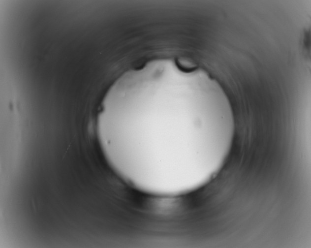 X0000092100089200709262149