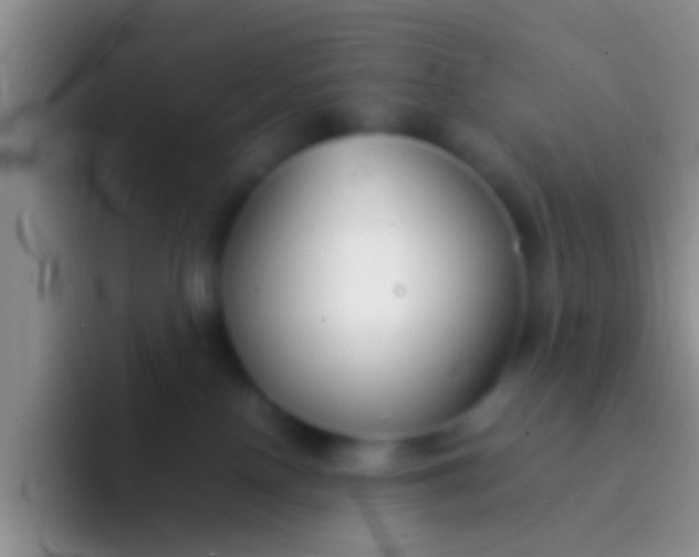 X0000092100090200709262149