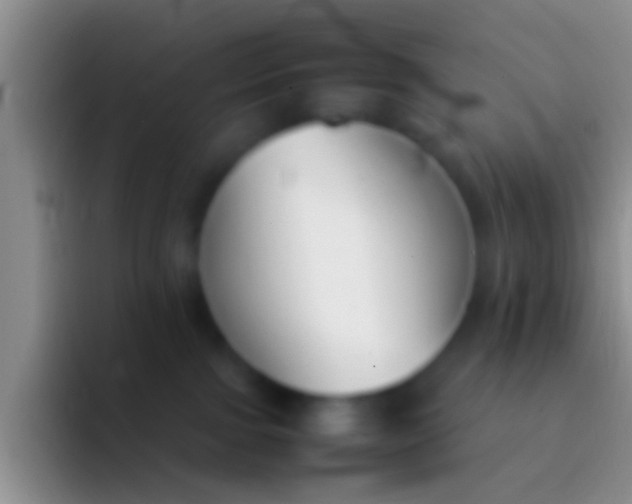 X0000092100091200709262149