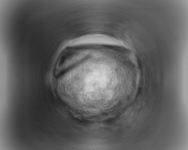 X0000092100099200709262148