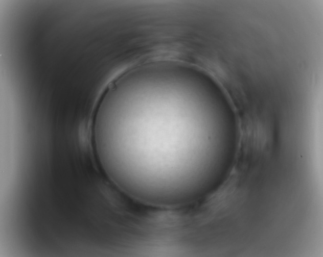 X0000092100100200709262148