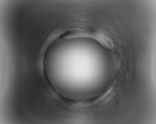 X0000092100101200709262148