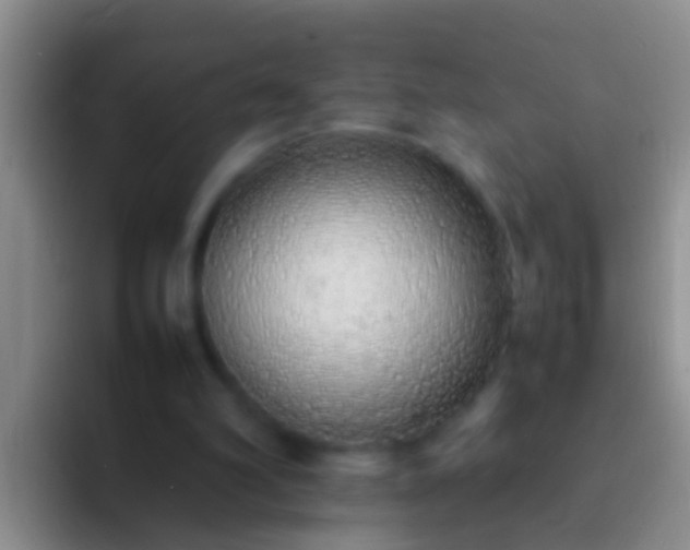 X0000092100102200709262148