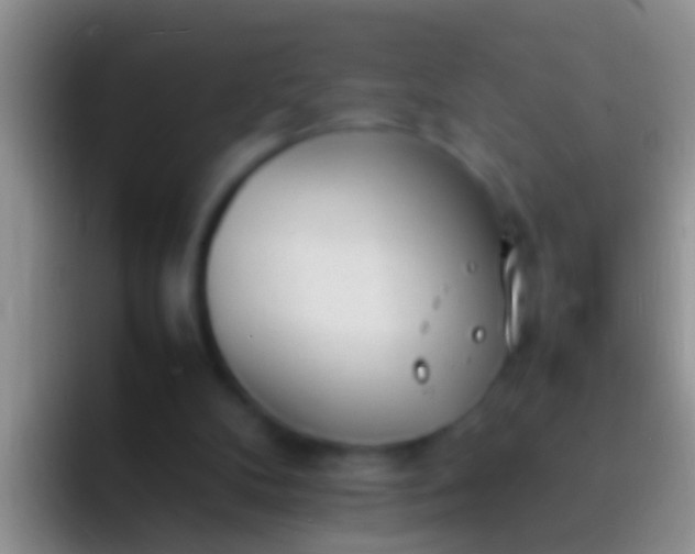 X0000092100104200709262148