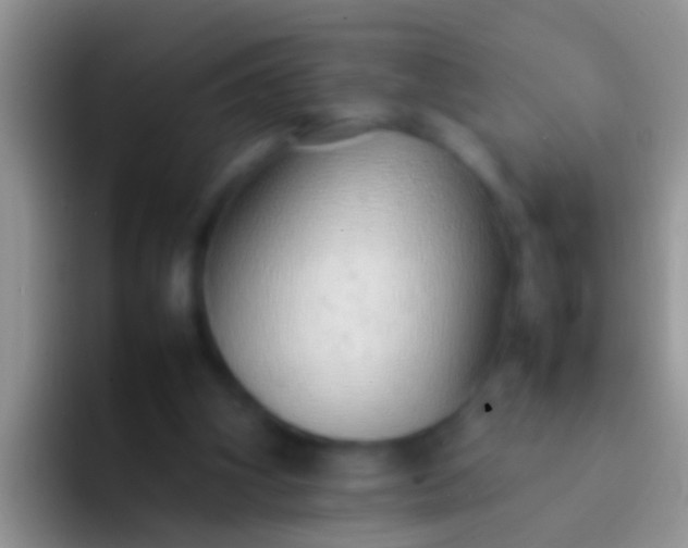 X0000092100106200709262148